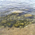 Photo-0019 (Копировать)