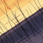 abstraction1 (Копировать)