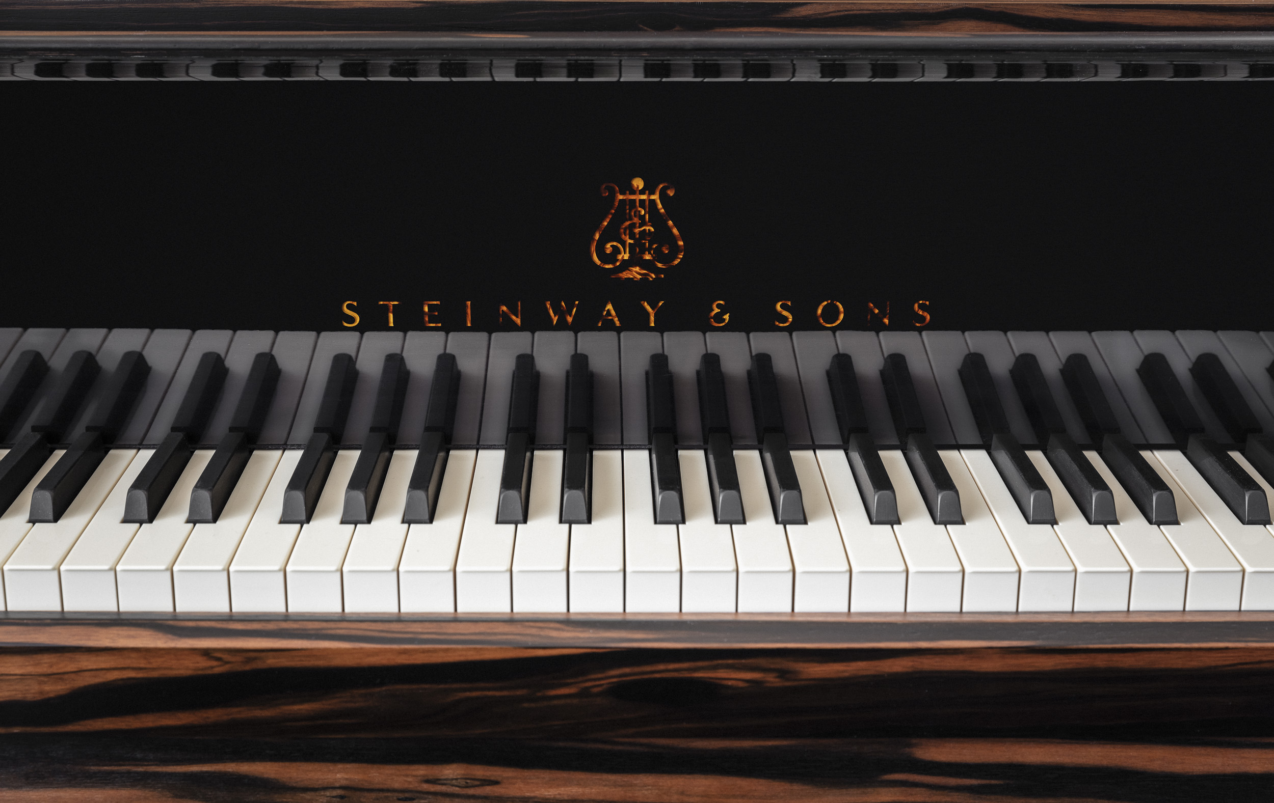 steinway kravitz web 11