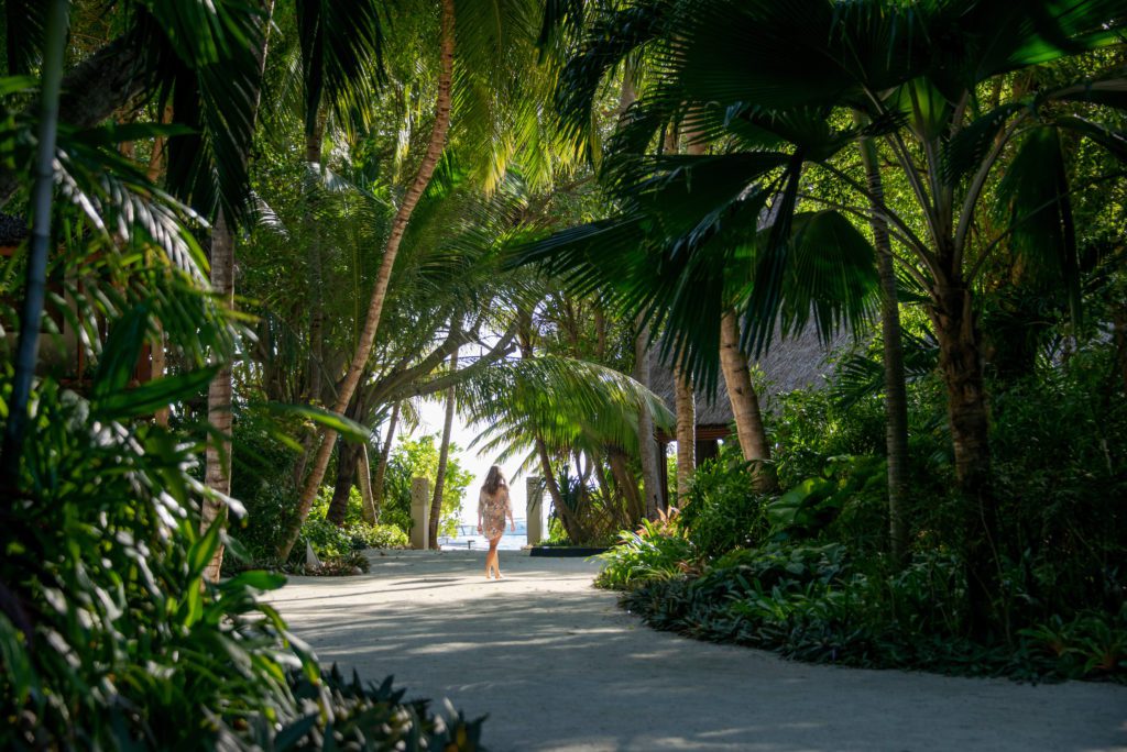 Baros Maldives Lush Vegetation