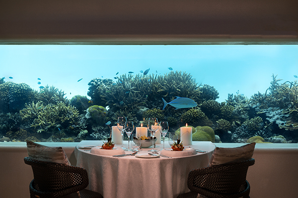 Huvafen Fushi Underwater Dining 7