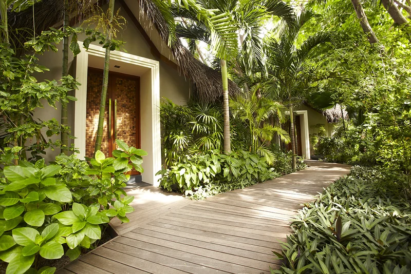 Деревянная дорожка среди тропической зелени к спа-центру Baros Maldives.